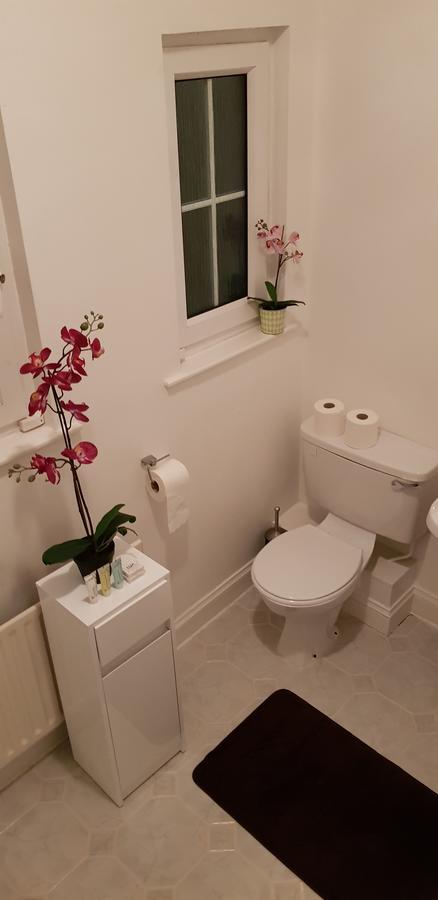 Silver Eagle Bed & Breakfast Dublin Bagian luar foto