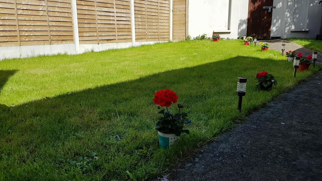 Silver Eagle Bed & Breakfast Dublin Bagian luar foto